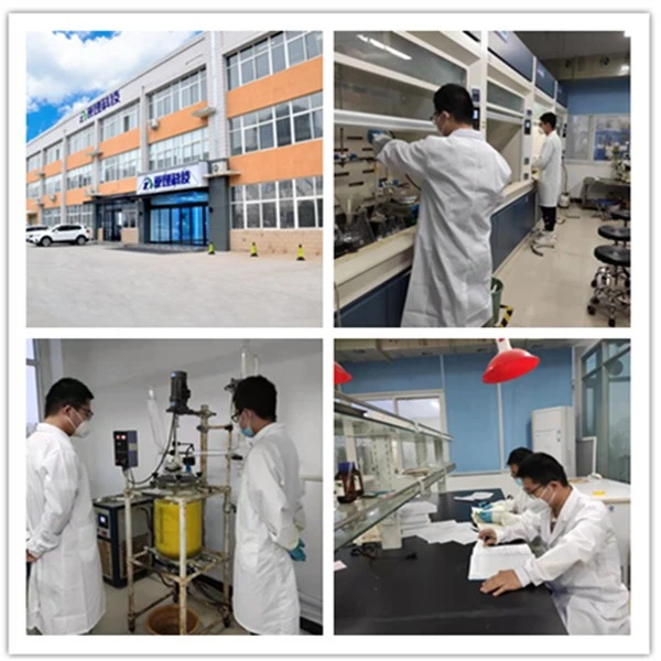 1,2-Dimethyl-1,2-dicarbaclosododecaborane ,C4H6B10,17032-21-2 suppliers