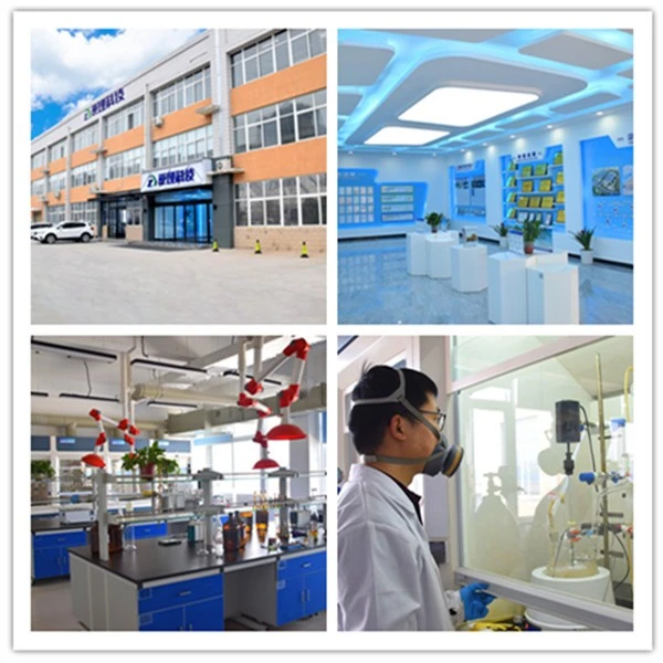 Acridone Acetate Sodium R&D center