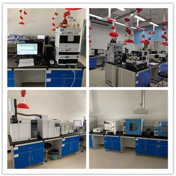 C10H18N2O7 testing center